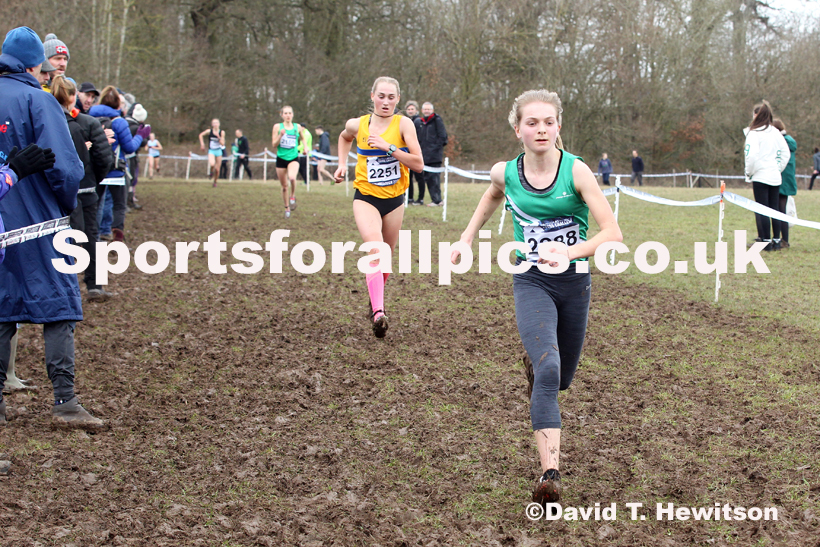 Womens under-17s, 2020 British Athletics Inter Counties Cross Country Champs., Prestwold Hall, Loughborough. Photo: David T. Hewitson/Sports for All Pics